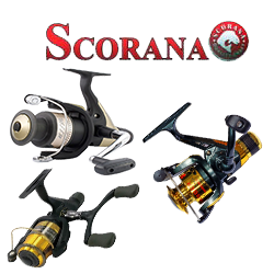 Scorana